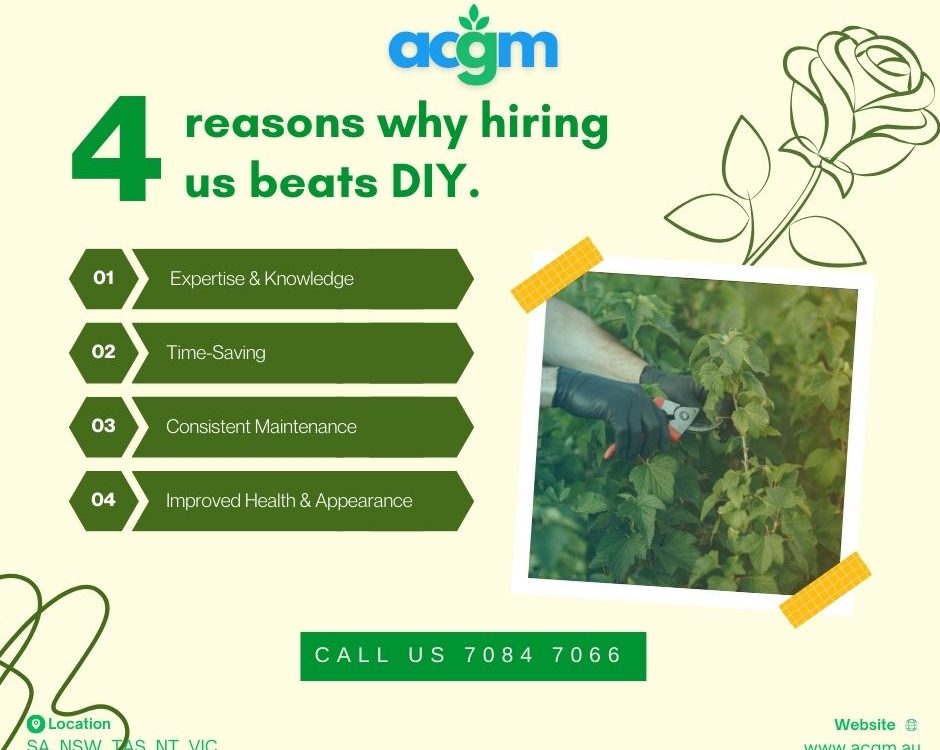 Professional gardener pruning a rose bush to promote healthy growth and vibrant blooms in a well-maintained residential garden