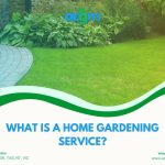 Gardener pruning plants and maintaining a healthy garden with professional care