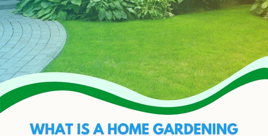 Gardener pruning plants and maintaining a healthy garden with professional care